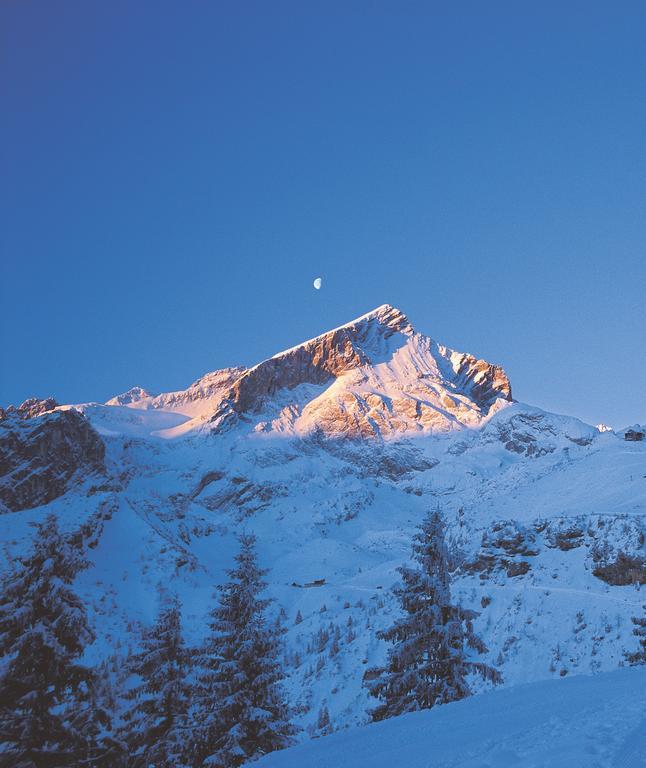 Ferienwohnungen Zugspitze Grainau Bagian luar foto
